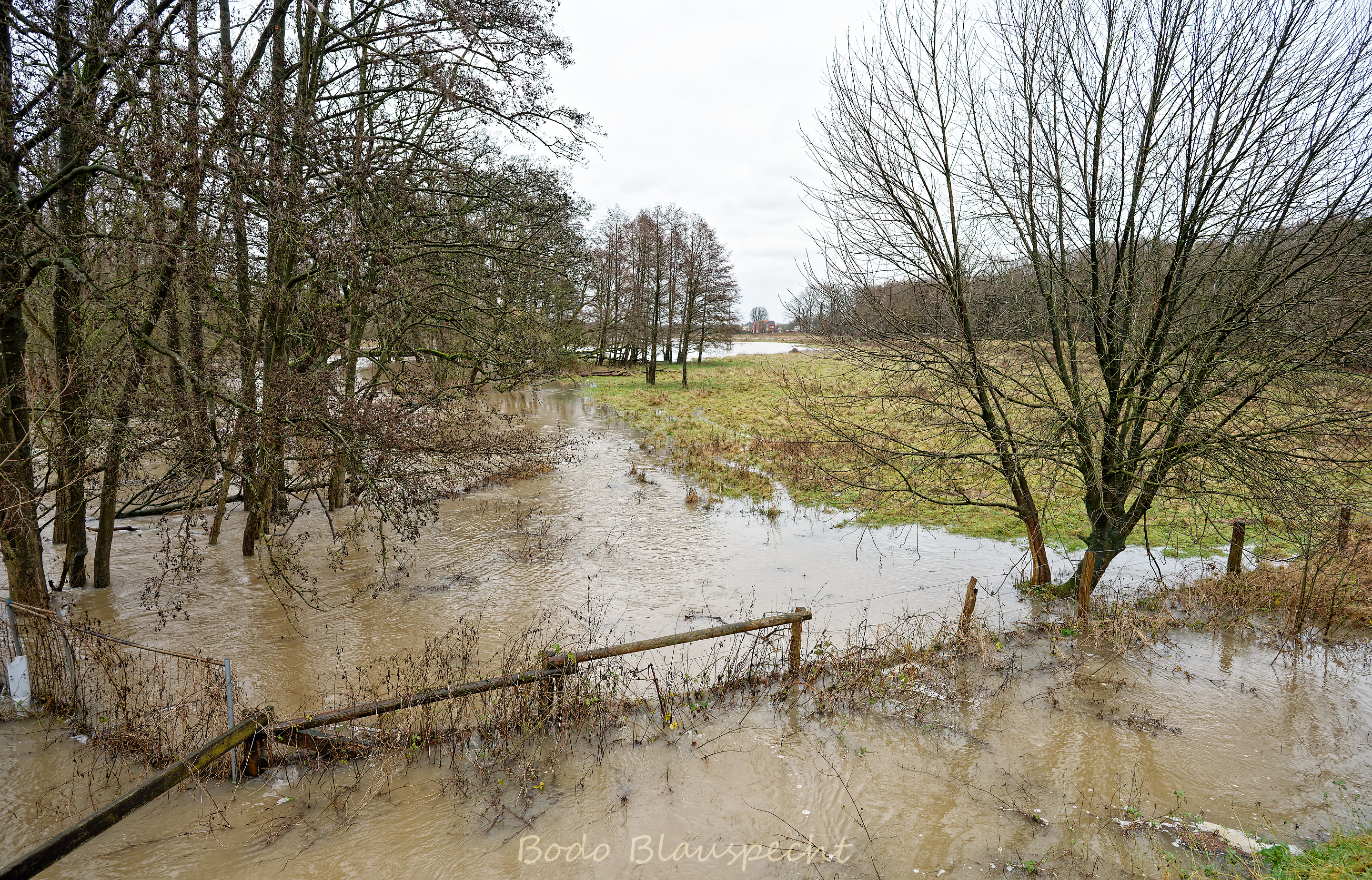 Hochwasser   Steveraue   2023.12.23 16.51 176 WEB